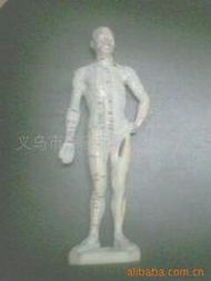 醫(yī)藥教學(xué)器材批發(fā) 如何對接可靠的廠家貨源與核心供應(yīng)信息